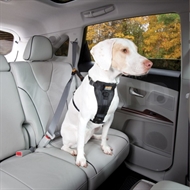  Kurgo Tru-Fit Smart sikkerhedssele - Monteret på hund